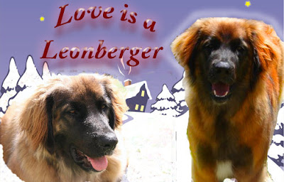 leonberger.jpg?imgmax=400